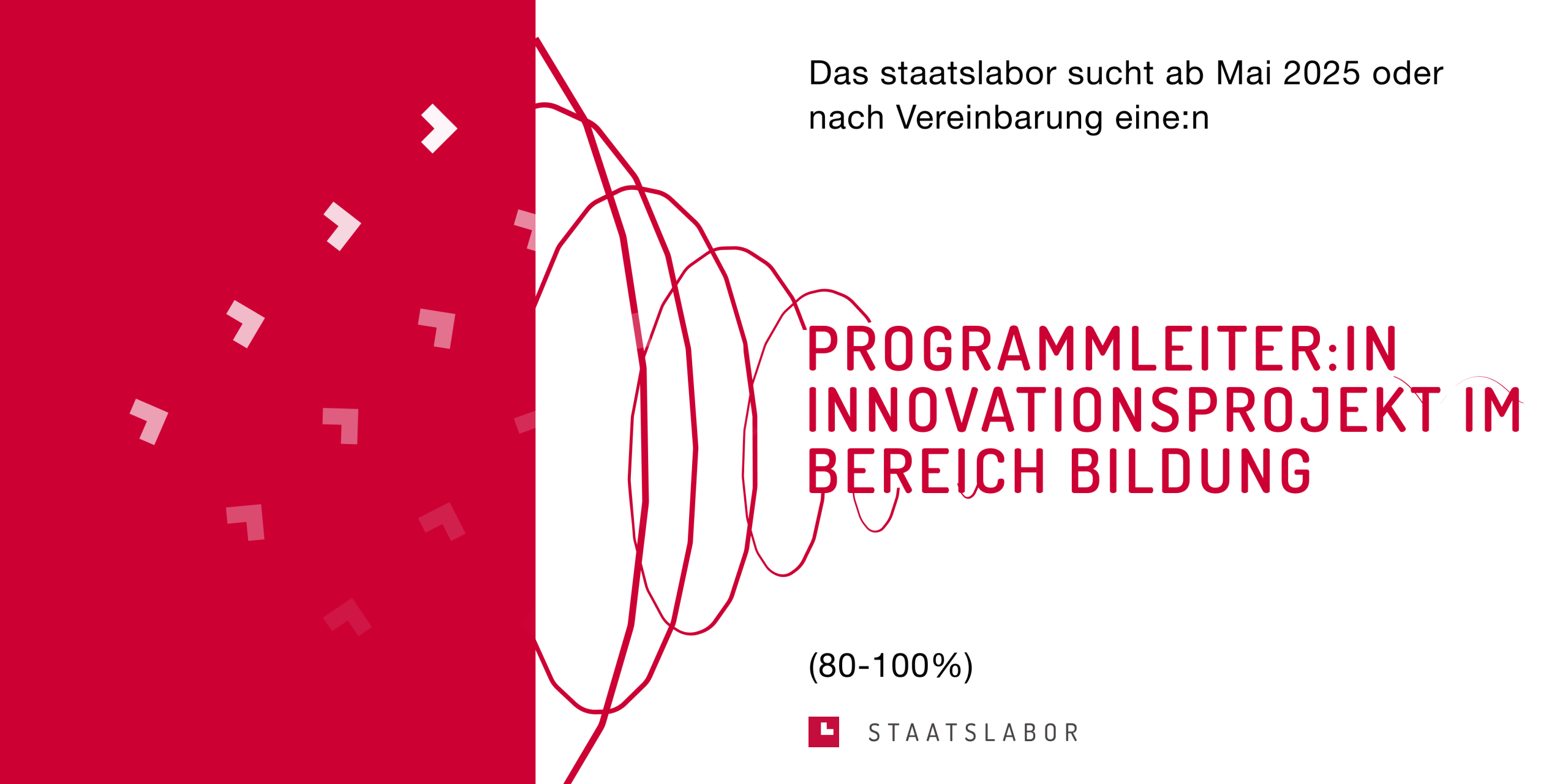 Programmleiter:in Innovationsprojekt im Bereich Bildung (80-100 %)