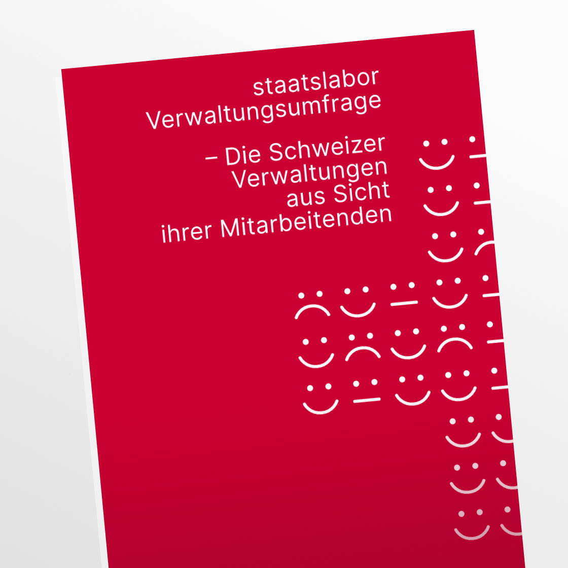 Cover Bericht Staatsumfrage